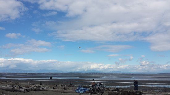 Boundary Bay Regional Park